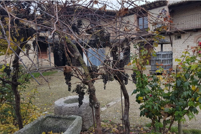Visita con Cata y Degustación para dos en Bodega Santamaría (Valladolid)