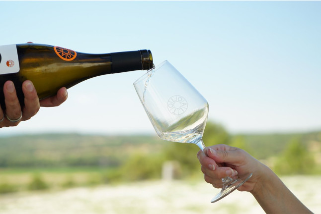 Visita a Bodega LoAlto con Cata de Vinos para dos (Venta del Moro, Valencia)
