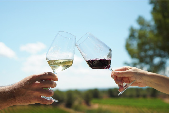Visita a Bodega LoAlto con Cata de Vinos para dos (Venta del Moro, Valencia)