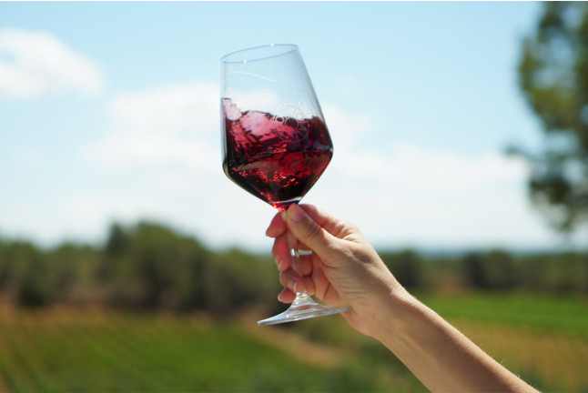 Visita a Bodega LoAlto con Cata de Vinos para dos (Venta del Moro, Valencia)