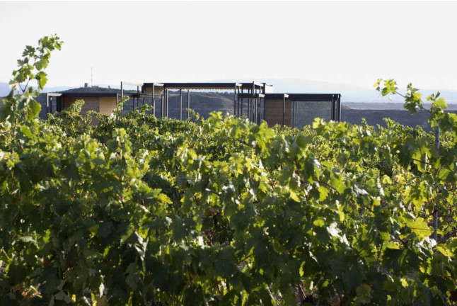 Visita Guiada a Bodega Viña Real con Cata de Vinos y Aperitivo para dos (Álava)