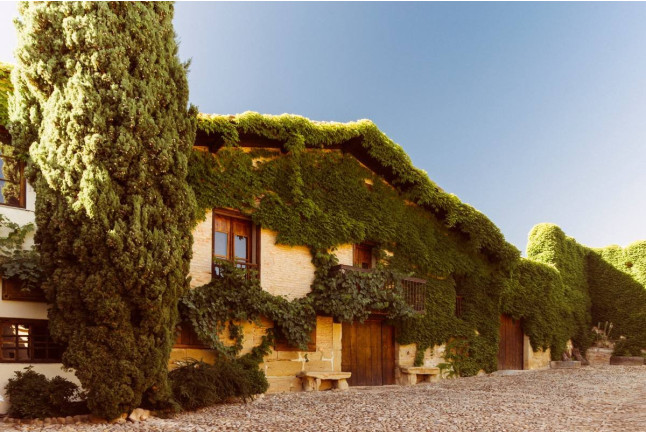 Visita a Bodega Viñedos del Contino con Cata de Vinos y Aperitivo (Álava)