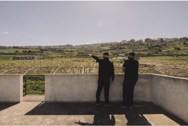 Visita a la Bodega con Degustación de Vinos y Picoteo en Linaje del Pago (El Sauzal, Tenerife)