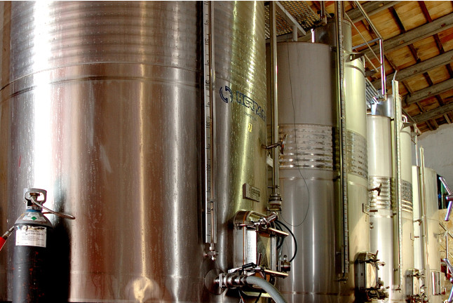 Visita a Bodega y Cata de Vino para dos en Vins Nadal (Binissalem, Mallorca)