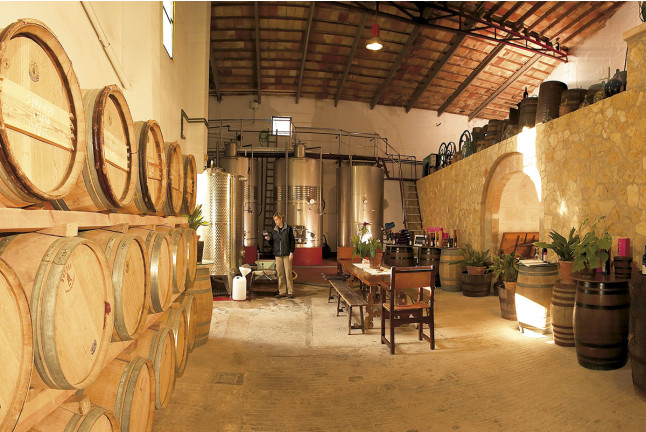 Visita a Bodega Vins Nadal con Cata de Vinos y Spa con Cena para dos en Hotel 4* (Mallorca)