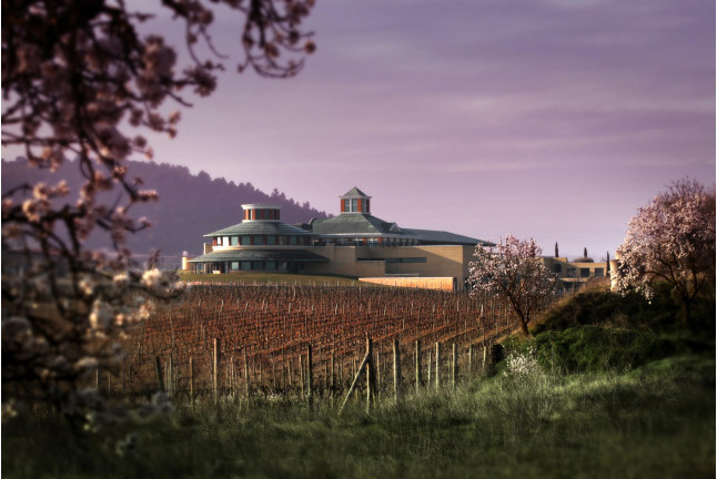Visita Guiada a BODEGAS VIVANCO con Degustación de 2 Vinos (Briones, La Rioja)