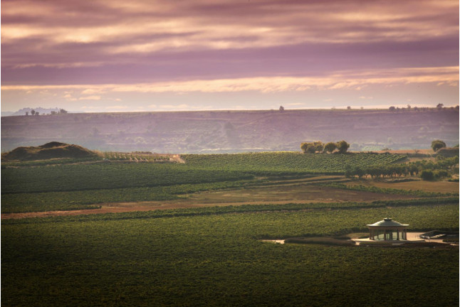 Visita Guiada a BODEGAS VIVANCO con Degustación de 2 Vinos (Briones, La Rioja)