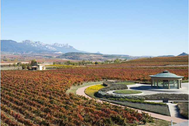 Visita Guiada a BODEGAS VIVANCO con Degustación de 2 Vinos (Briones, La Rioja)