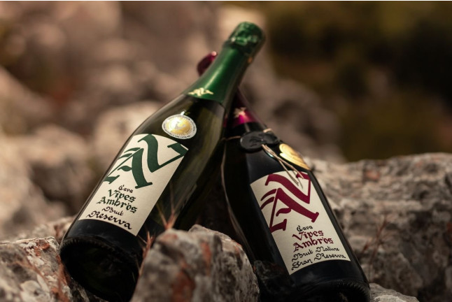 Visita a la Bodega Vives Ambròs con Cata Premium de Cavas y Vinos para dos (Montferri, Tarragona)