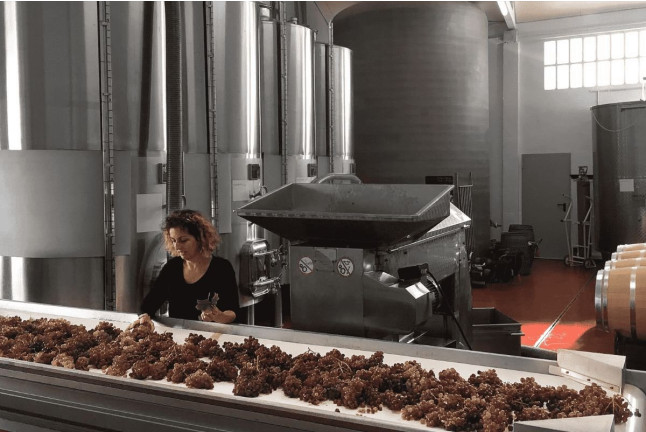 Visita a la Bodega Vives Ambròs con Cata Premium de Cavas y Vinos para dos (Montferri, Tarragona)