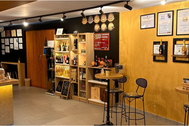 Visita a la Bodega Vives Ambròs con Cata Premium de Cavas y Vinos para dos (Montferri, Tarragona)