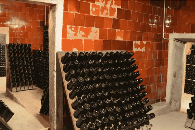 Visita a la Bodega Vives Ambròs con Cata Premium de Cavas y Vinos para dos (Montferri, Tarragona)