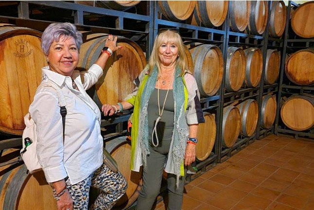 Visita Guiada a Bodegas Santa Margarita, Viñedos en Tren Turístico y Yeguada con Cata de Vinos para dos (Caudete, Albacete)