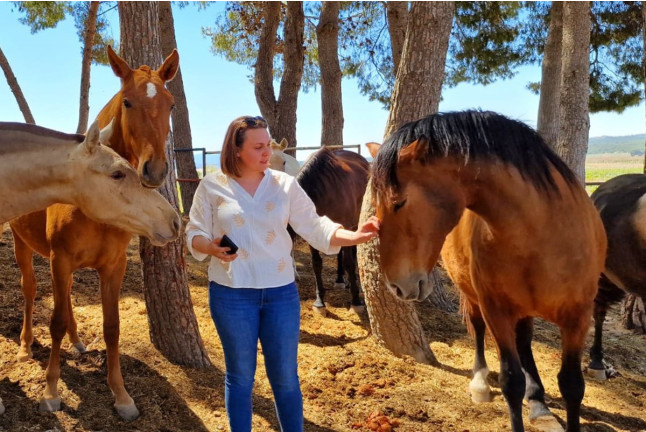 Visita Guiada a Bodegas Santa Margarita, Viñedos en Tren Turístico y Yeguada con Cata de Vinos para dos (Caudete, Albacete)