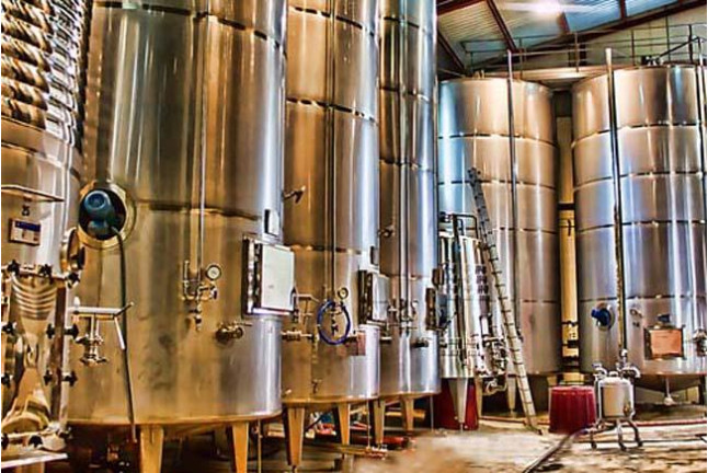 Visita a Bodega con Cata de Vinos, Tapa y Comida para dos en Bodegas Bocopa (Alicante)