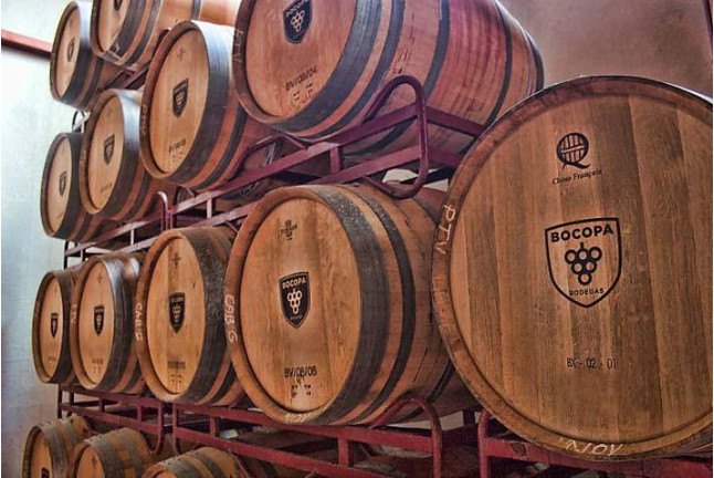Visita a Bodega con Cata de Vinos, Tapa y Comida para dos en Bodegas Bocopa (Alicante)
