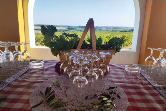 Visita a Bodegas Andrade, Viñas y Museo del Vino con Vermut, Cata de Vinos y Tapas para dos (Huelva)