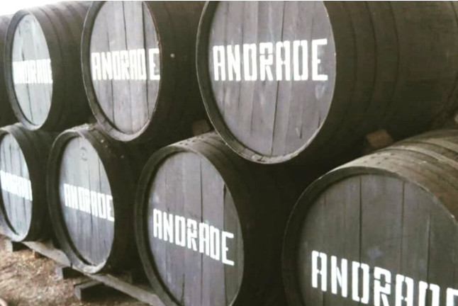 Visita a Bodegas Andrade, Viñas y Museo del Vino con Vermut, Cata de Vinos y Tapas para dos (Huelva)