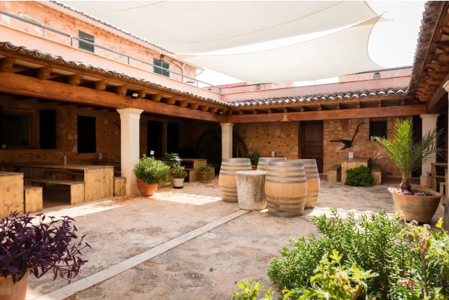 Visita a Bodegas Ángel con Cata de Vino (Santa María del Camí, Mallorca)