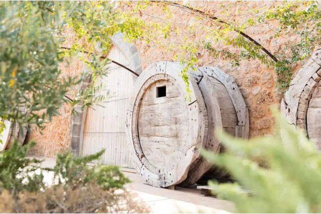 Visita a Bodegas Ángel con Cata de Vino (Santa María del Camí, Mallorca)