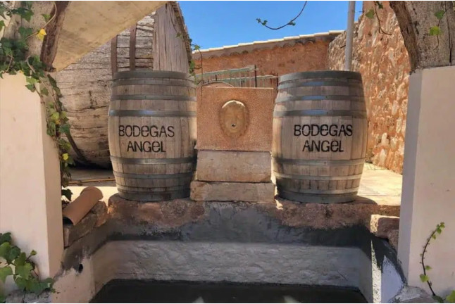 Visita a Bodegas Ángel con Cata de Vino (Santa María del Camí, Mallorca)