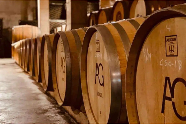 Visita a Bodegas Ángel con Cata de Vino (Santa María del Camí, Mallorca)