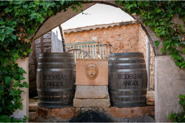 Tour, Cata y Paella: Visita con Cata y Menú Va d’Arros by Kike Martí para dos en Bodegas Ángel (Santa María del Camí, Mallorca)