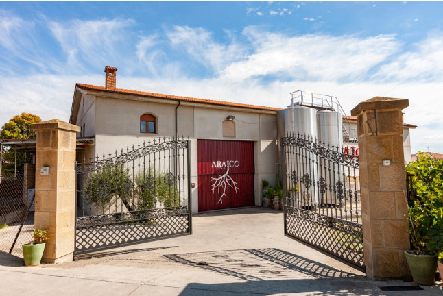Visita a Bodegas Araico con Cata de 3 Vinos y Circuito Spa para dos en Wine Oil Spa del Silken Villa de Laguardia 4* (Álava)
