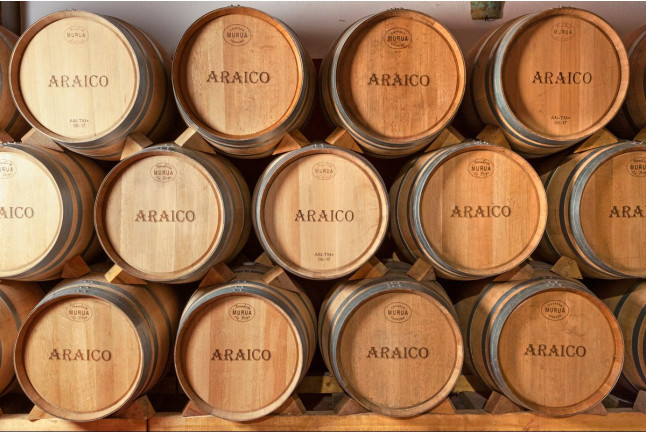 Visita a Bodegas Araico con Cata de 3 Vinos y Circuito Spa para dos en Wine Oil Spa del Silken Villa de Laguardia 4* (Álava)