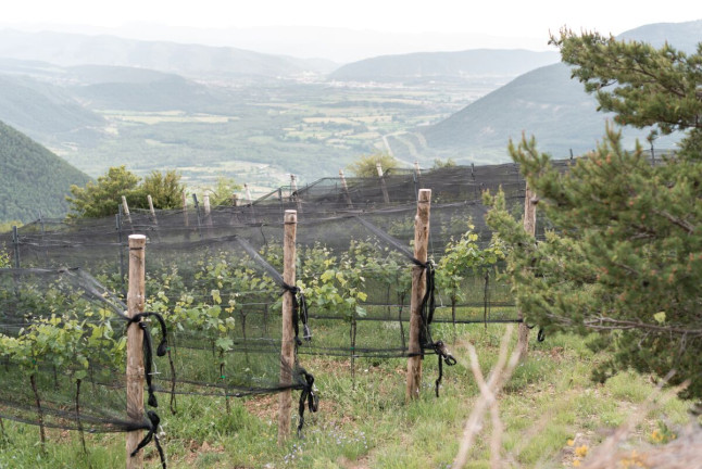 Visita a Bodegas Bal Minuta y Cata de Vinos para dos (Huesca)