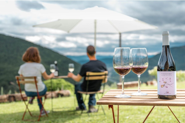 Visita a Bodegas Bal Minuta y Cata de Vinos para dos (Huesca)