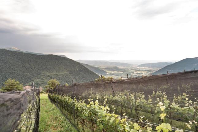 Visita a Bodegas Bal Minuta y Cata de Vinos para dos (Huesca)