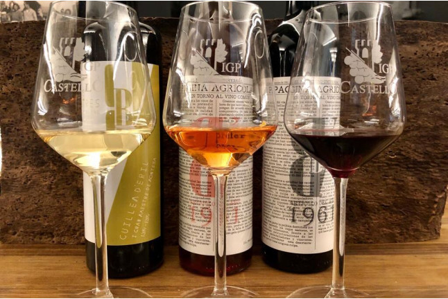Visita a Bodegas Besalduch Valls & Bellmunt y Museo del Vino con Degustación de Vinos para dos (Sant Mateu, Castellón)