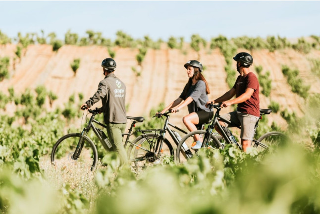 Ruta en Bicicleta y Visita a Bodega con Cata y Aperitivo para dos (La Rioja)