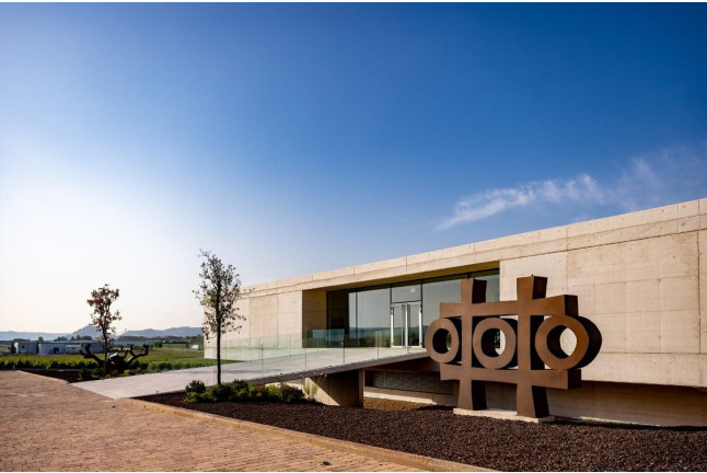 Visita Guiada, Degustación de Vinos, Embutidos y Quesos para dos en Bodegas Carramimbre (Peñafiel, Valladolid)