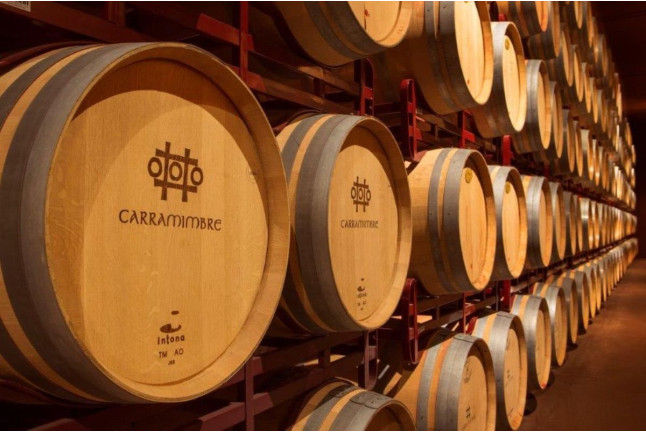 Visita Guiada, Degustación de Vinos, Embutidos y Quesos para dos en Bodegas Carramimbre (Peñafiel, Valladolid)