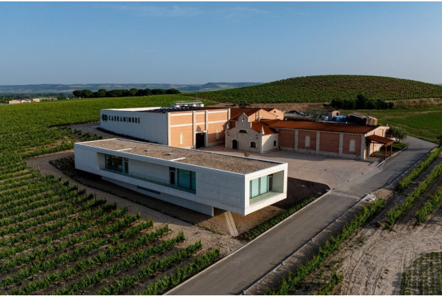 Visita Guiada, Degustación de Vinos, Embutidos y Quesos para dos en Bodegas Carramimbre (Peñafiel, Valladolid)