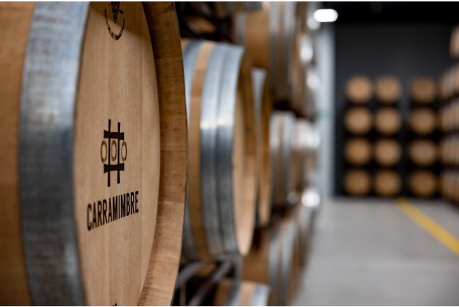 Visita Guiada, Degustación de Vinos, Embutidos y Quesos para dos en Bodegas Carramimbre (Peñafiel, Valladolid)
