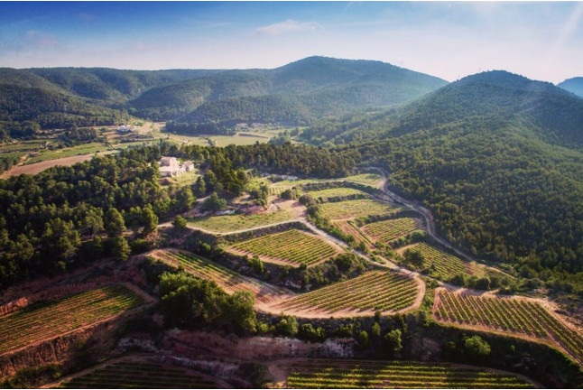 Visita Guiada en Bodegas Clos Montblanc con Cata de Vinos para dos (Tarragona)