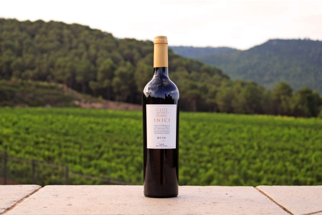 Visita Guiada en Bodegas Clos Montblanc con Cata de Vinos para dos (Tarragona)