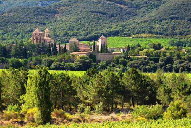 Visita Guiada en Bodegas Clos Montblanc con Cata de Vinos para dos (Tarragona)