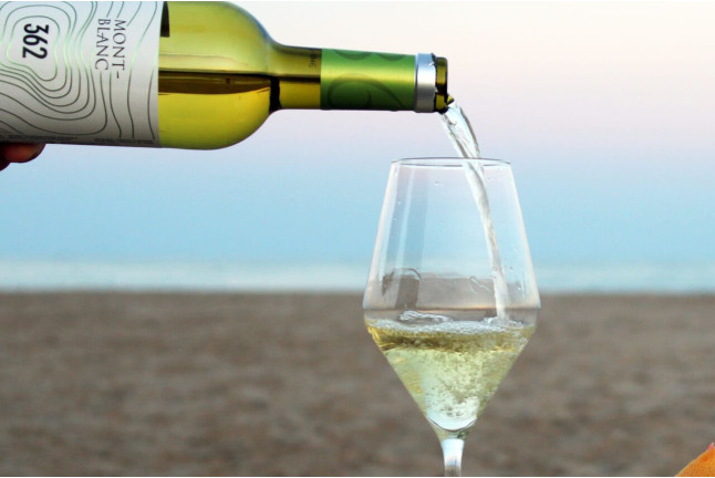 Visita Guiada en Bodegas Clos Montblanc con Cata de Vinos para dos (Tarragona)