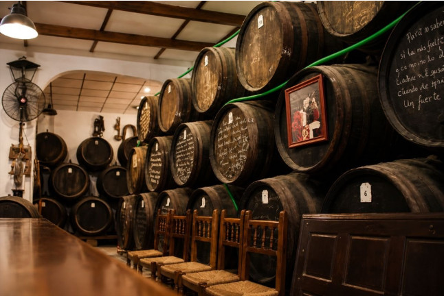 Cata de Vinos y Aceites para dos en Bodegas Ruiz Canela (Lucena, Córdoba)