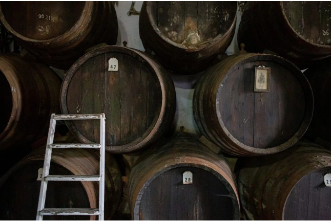 Cata de Vinos y Aceites para dos en Bodegas Ruiz Canela (Lucena, Córdoba)