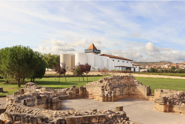Corral Experience: Visita a Bodegas Corral y a Viñedos con Cata de Vinos y Aperitivo (Navarrete, La Rioja)