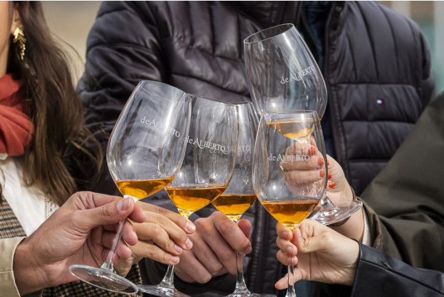 Visita a Bodega Subterránea con Cata de Vinos y Quesos o Dulces artesanos en Bodegas de Alberto (Valladolid)