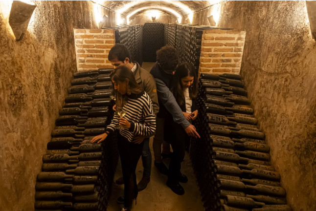 Visita a Bodega Subterránea con Cata de Vinos y Quesos o Dulces artesanos en Bodegas de Alberto (Valladolid)