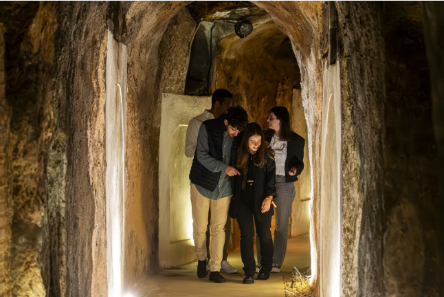 Visita a Bodega Subterránea con Cata de Vinos y Quesos o Dulces Artesanos para dos en Bodegas de Alberto (Valladolid)