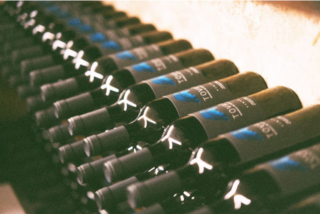 Visita a Tovar Bodega de Bodegas con Cata de Vinos y Comida para dos (Trigueros del Valle, Valladolid)