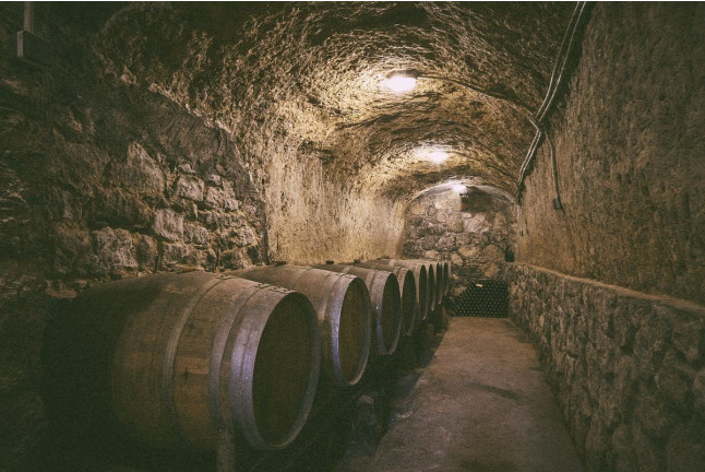 Visita a Tovar Bodega de Bodegas con Cata de Vinos y Comida para dos (Trigueros del Valle, Valladolid)